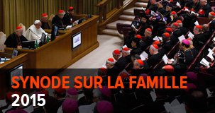 fr 2015 synod button