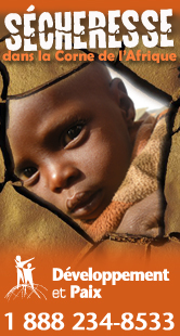 dandpafrica-fr