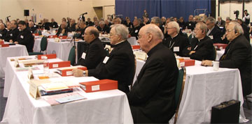 Plénière 2006